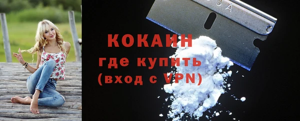 крисы Магадан