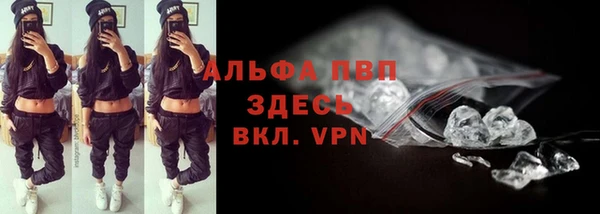 крисы Магадан