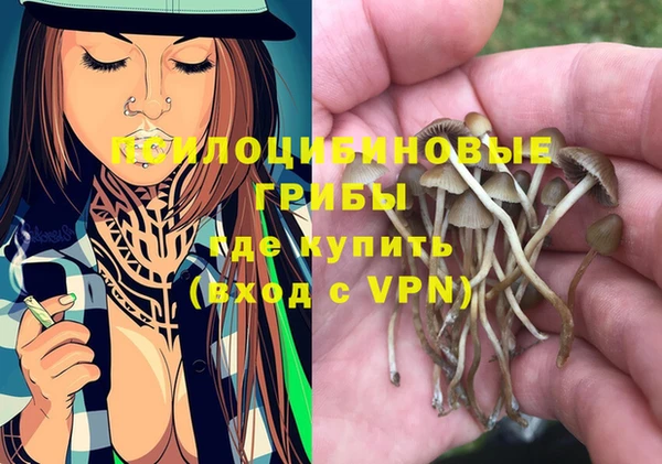 крисы Магадан