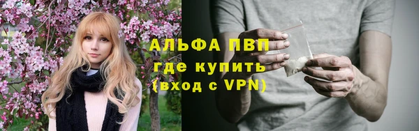 крисы Магадан