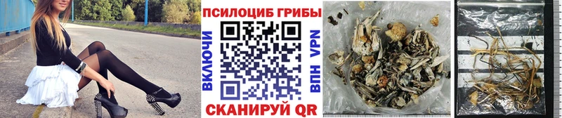 Купить где  Кондопога  Галлюциногенные грибы ЛСД 